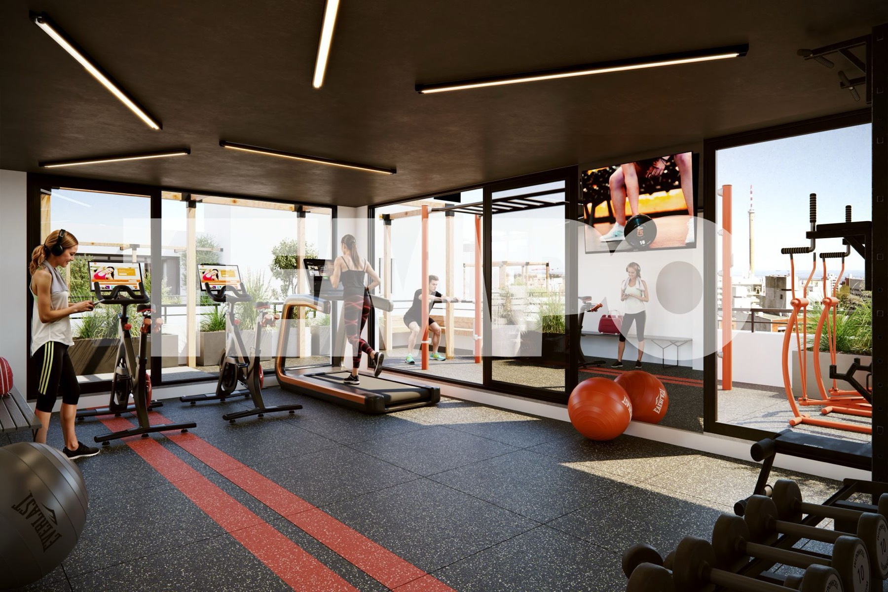 Gimnasio equipado